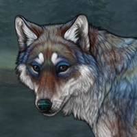 Willow Headshot