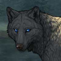 Wolf Headshot