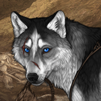 Wolf Headshot