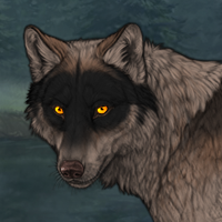 Wolf Headshot