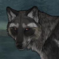 Wolf meat and sage2 Headshot