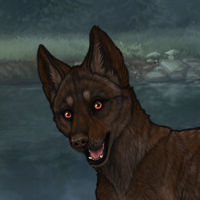 Enclave Pup Headshot