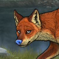 clean fox Headshot