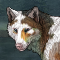 Piebald: Uneven Headshot