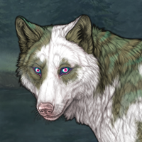 Shurb Headshot