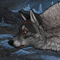 Wolf Headshot