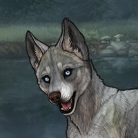 titanium 6m husky Headshot