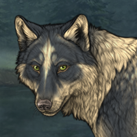 Wolf Headshot