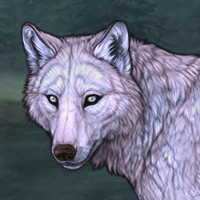 Crystal Husky eyes Headshot