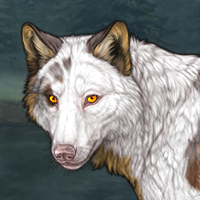 Wolf Headshot