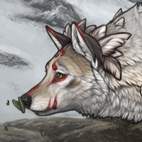 Wolf Headshot