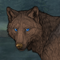 Wolf Headshot