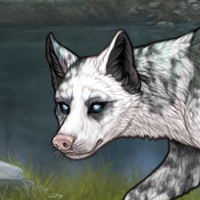 Piebald: Torn Headshot