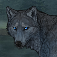 Blue pelt Headshot