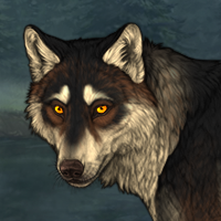 Wolf Headshot