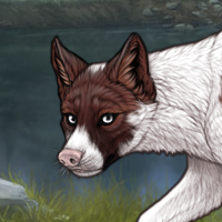 Piebald Headshot