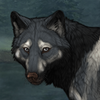 Wolf Headshot