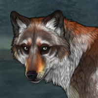 Sneak Headshot