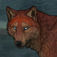 blue,red dog-fox Headshot