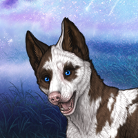 G8 Piebald Headshot