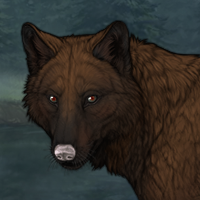 Bear ♮ Headshot