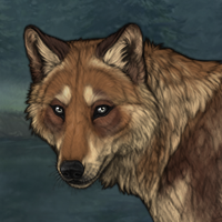 Stormfluff Headshot