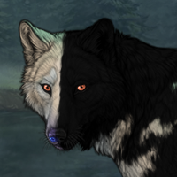 Darkpelt Headshot