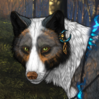 Wolf Headshot