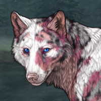 My Little Piebald Headshot