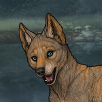 Enclave Pup Headshot