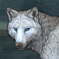 Wolf Headshot