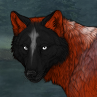 Red Wolf Headshot
