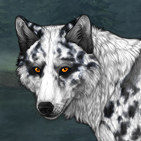 Faithful Dalmatian Headshot