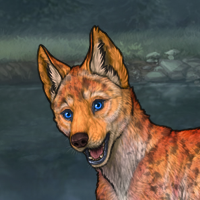 Enclave Pup Headshot