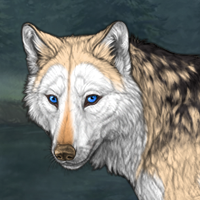 Wolf Headshot