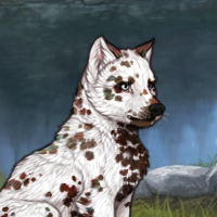 596 Dalmatian Headshot