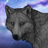 Gray wolf Headshot