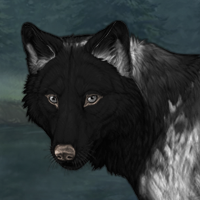 Wolf Headshot