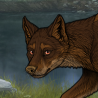 Kelpie Headshot