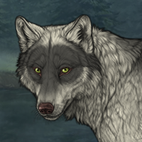 Wolf Headshot