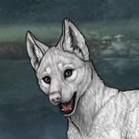 Tundra Headshot