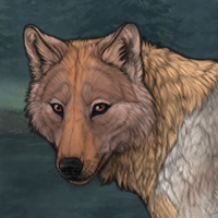 angeel Headshot