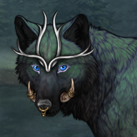 Dark Auroron Headshot