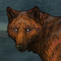 6M Merle Merged Moonshine Headshot