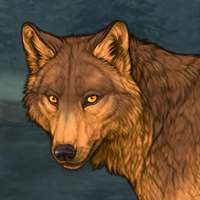 Wolf Headshot