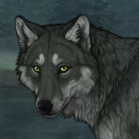 Wolf Headshot