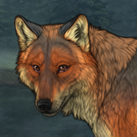 Vulpes Headshot