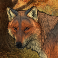 Vulpes Headshot