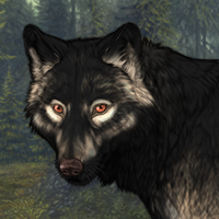 Wolf Headshot