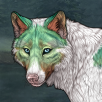 Kelpie Headshot